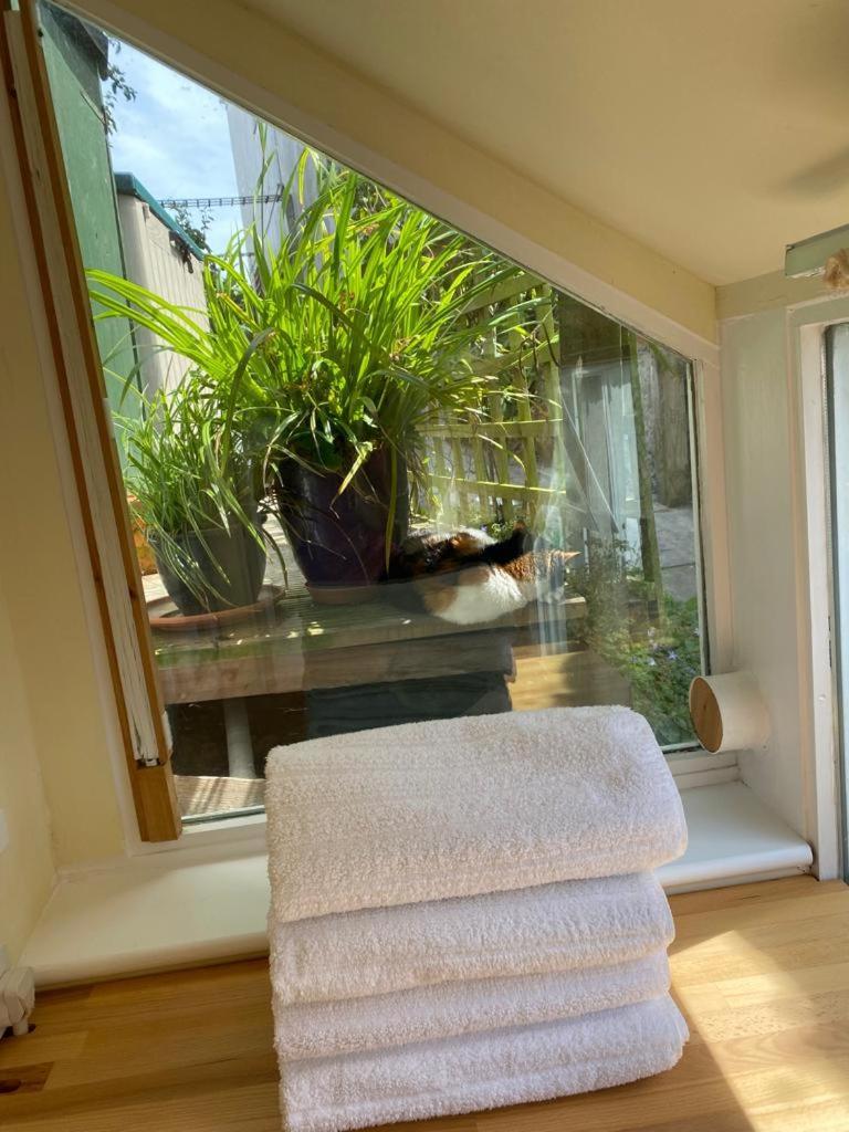 Lyme Clifftop Hideaway Lyme Regis Exterior foto